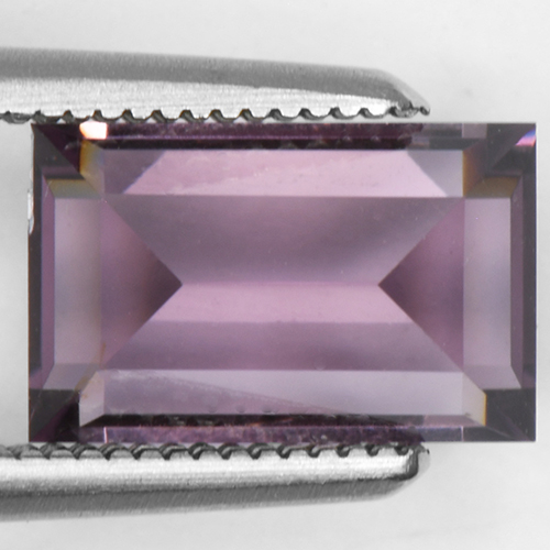 SPC192Extra 4.jpg